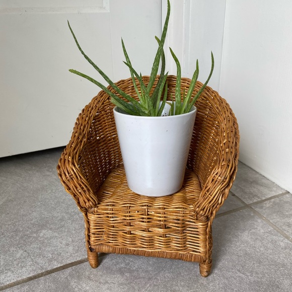 Wicker plant chair - Picture 1 of 4